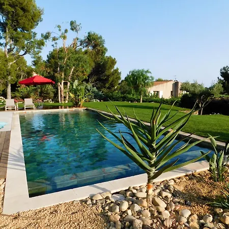 D'exception Piscine Privee Et Vue סן-סיר-סור-מר